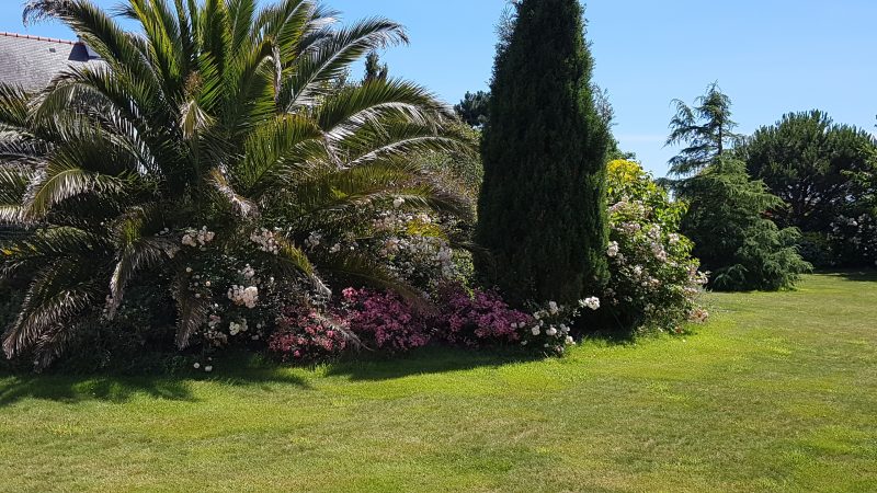 Jardin