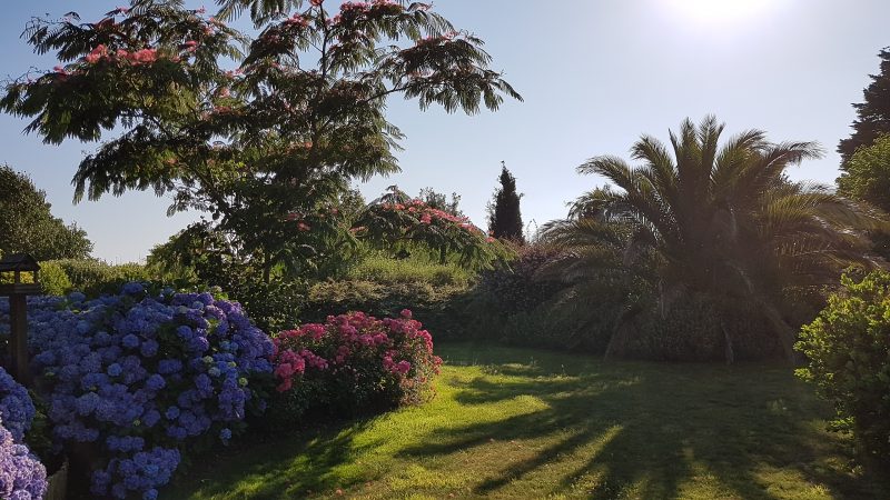 Jardin