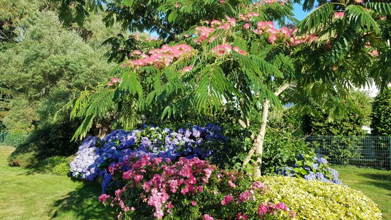 Jardin