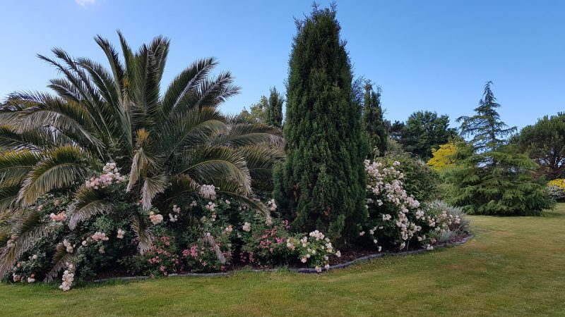 Jardin
