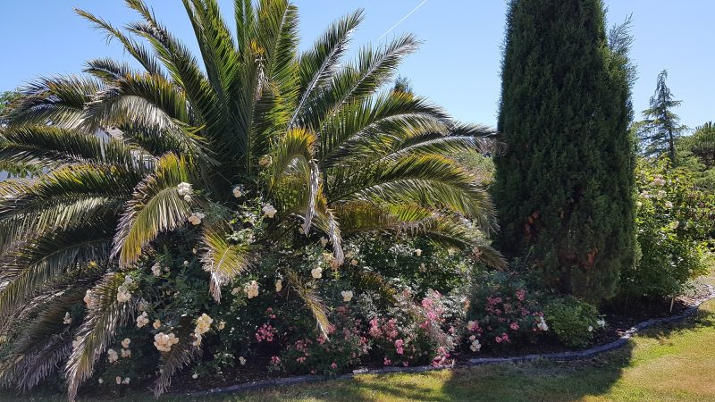 Jardin