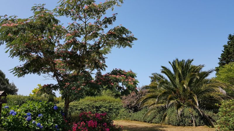 jardin