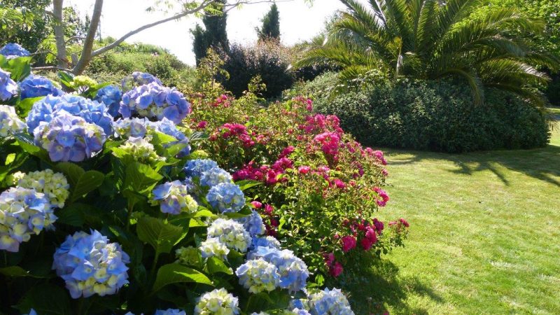 Jardin