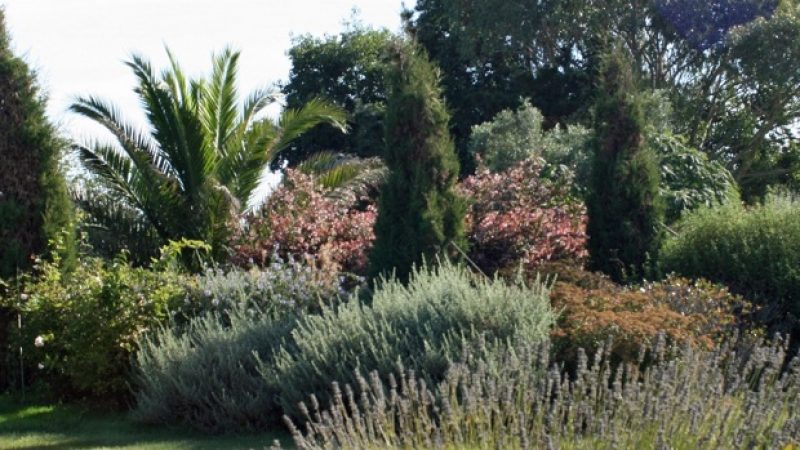 chambres d hotes avec jardin en finistere