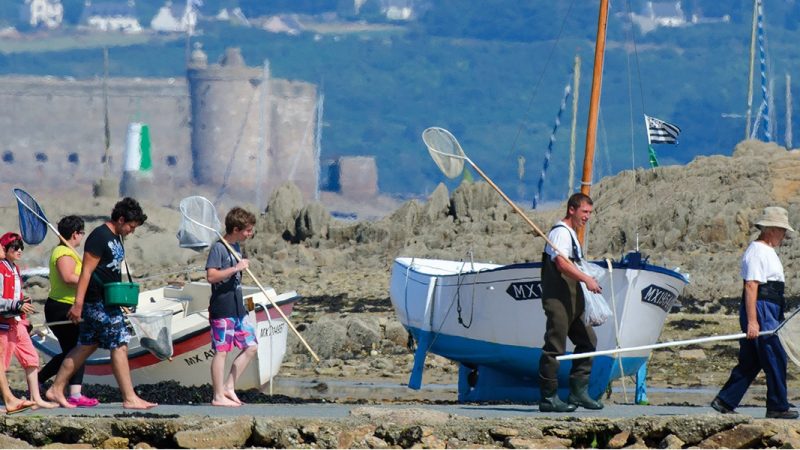 Pêche à pied en Finistère