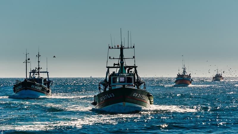 Retour de pêche au Guilvinec