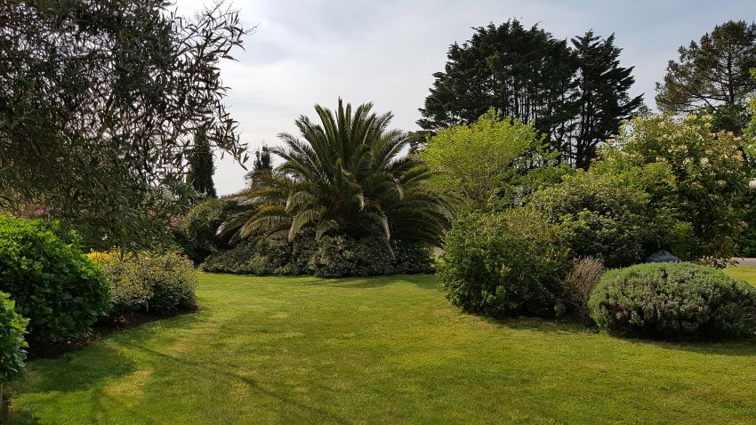Jardin