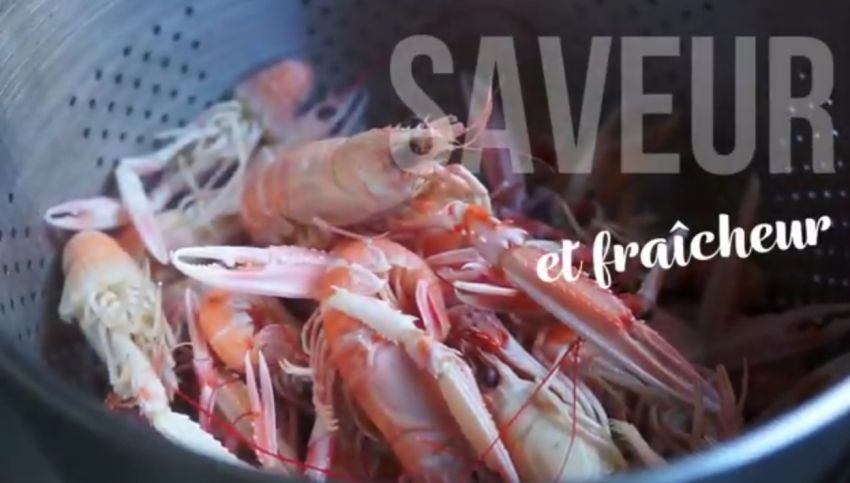 langoustine
