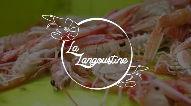 langoustine en bretagne
