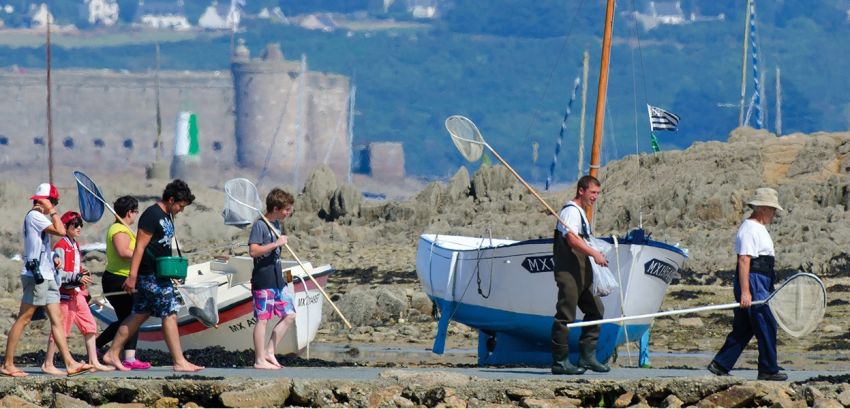 Pêche à pied en Finistère