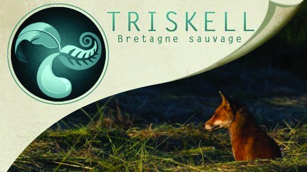 documentaire triskell bretagne sauvage